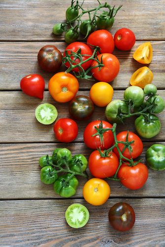 tomato varieties